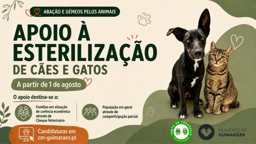Apoio &agrave; Esteriliza&ccedil;&atilde;o de C&atilde;es e Gatos