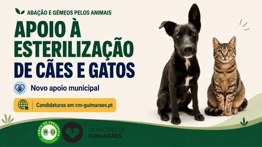 Guimar&atilde;es refor&ccedil;a apoio &agrave; esteriliza&ccedil;&atilde;o de Animais